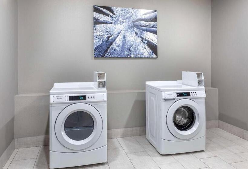 בית מלון כפרי Best Western Plus Stephenville Inn