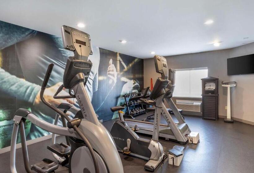 בית מלון כפרי Best Western Plus Stephenville Inn