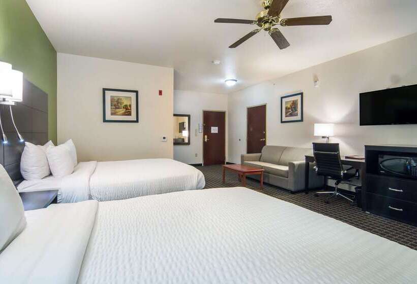 فندق Clarion Inn & Suites Weatherford South