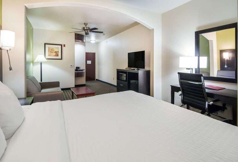 فندق Clarion Inn & Suites Weatherford South