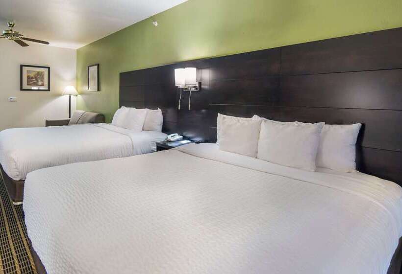 فندق Clarion Inn & Suites Weatherford South