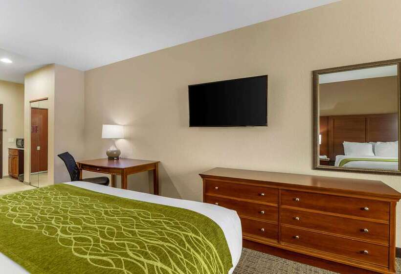 ホテル Comfort Inn & Suites Davenport   Quad Cities