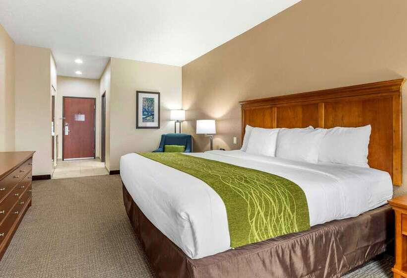 ホテル Comfort Inn & Suites Davenport   Quad Cities