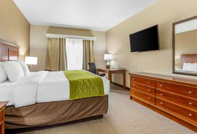 ホテル Comfort Inn & Suites Davenport   Quad Cities