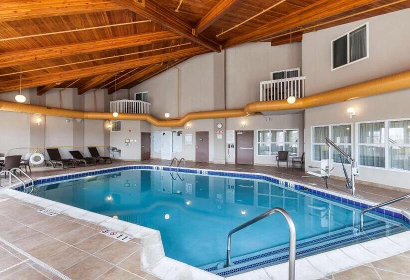 ホテル Comfort Inn & Suites Near University Of Wyoming