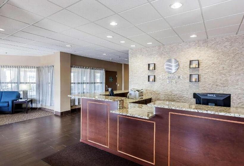 ホテル Comfort Inn & Suites Near University Of Wyoming