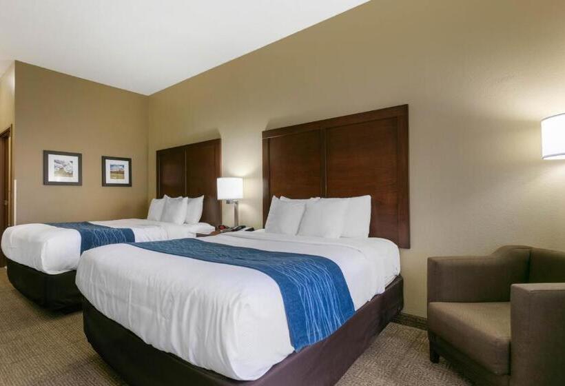 ホテル Comfort Inn & Suites Near University Of Wyoming
