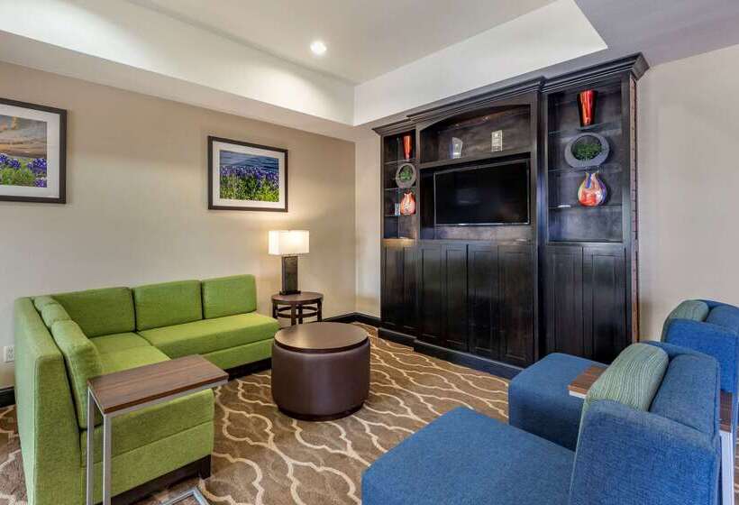 فندق Comfort Inn & Suites Paris