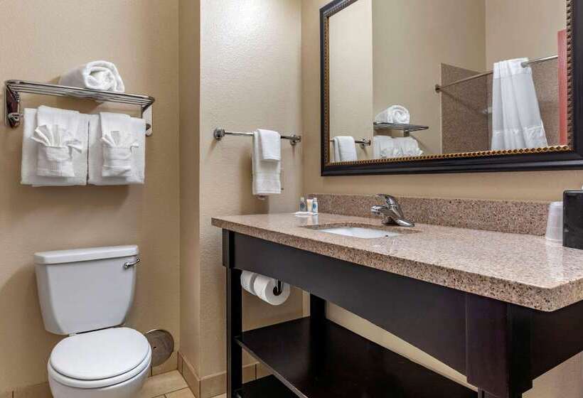 Отель Comfort Inn & Suites Paris