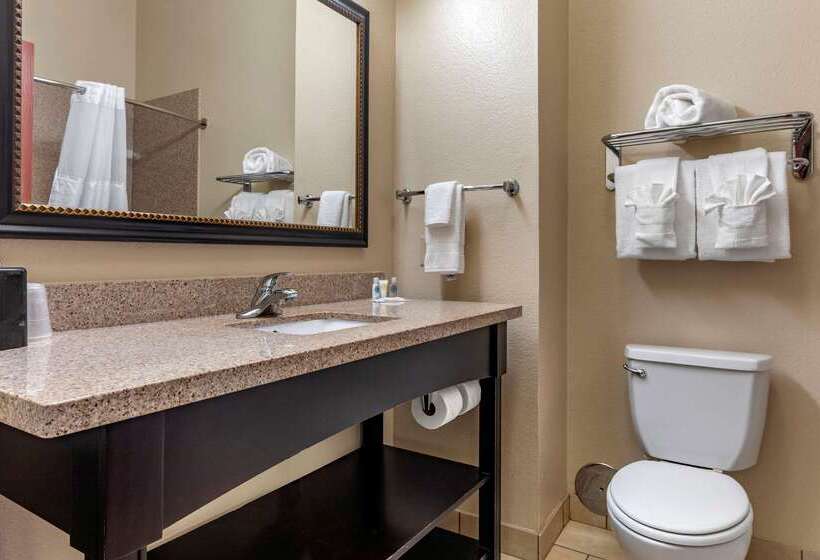 فندق Comfort Inn & Suites Paris