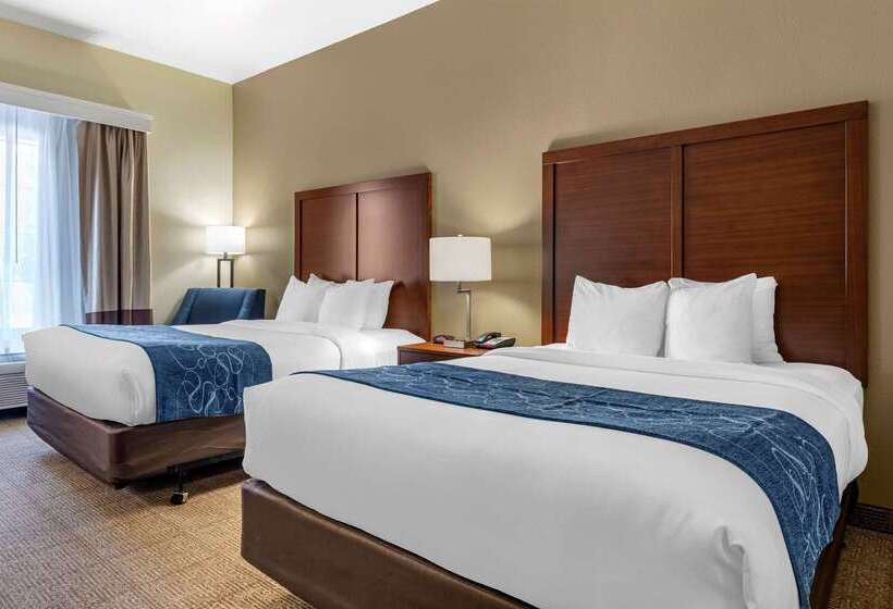 فندق Comfort Inn & Suites Paris