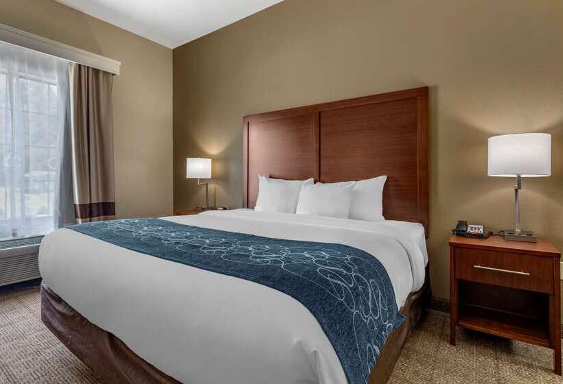 فندق Comfort Inn & Suites Paris