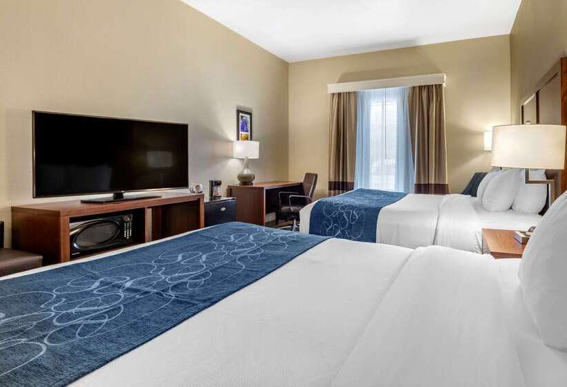 酒店 Comfort Inn & Suites Paris