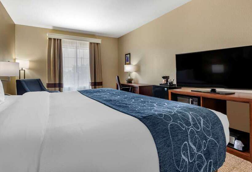 فندق Comfort Inn & Suites Paris