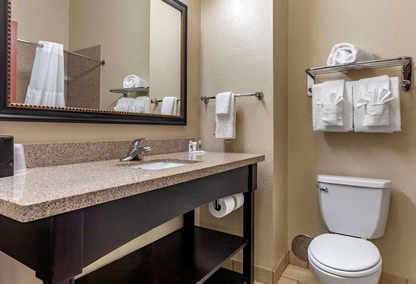 فندق Comfort Inn & Suites Paris