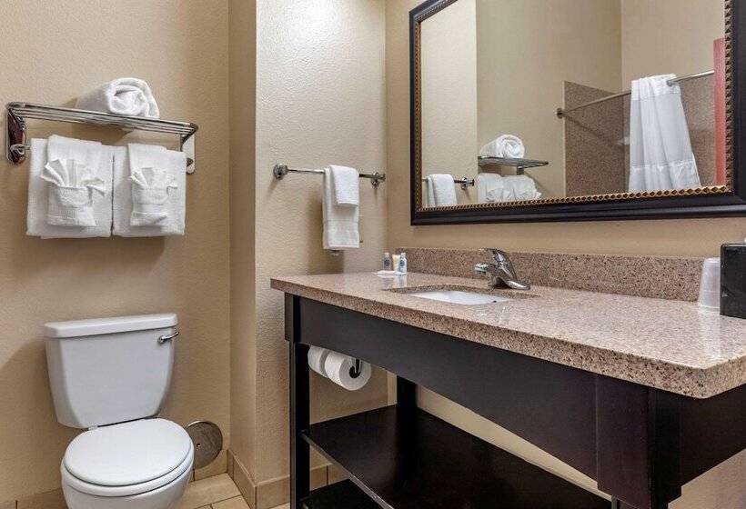 酒店 Comfort Inn & Suites Paris