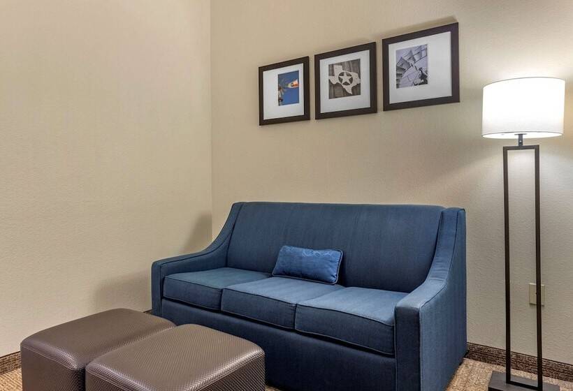 فندق Comfort Inn & Suites Paris