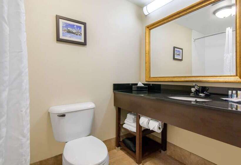 בית מלון כפרי Comfort Inn & Suites Norman Near University