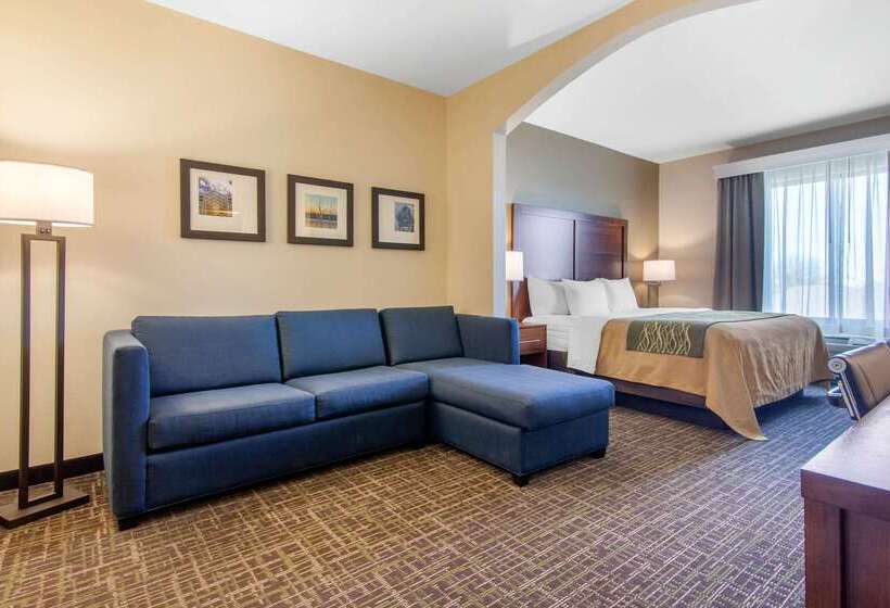 فندق Comfort Inn & Suites Norman Near University