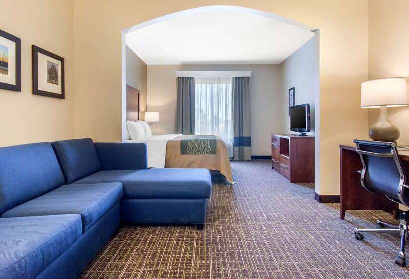 فندق Comfort Inn & Suites Norman Near University