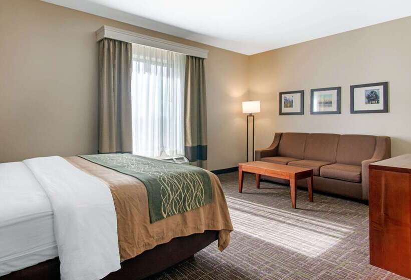 בית מלון כפרי Comfort Inn & Suites Norman Near University