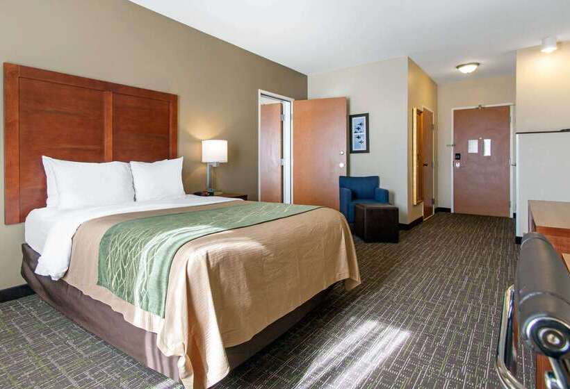 בית מלון כפרי Comfort Inn & Suites Norman Near University