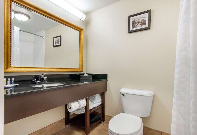 בית מלון כפרי Comfort Inn & Suites Norman Near University