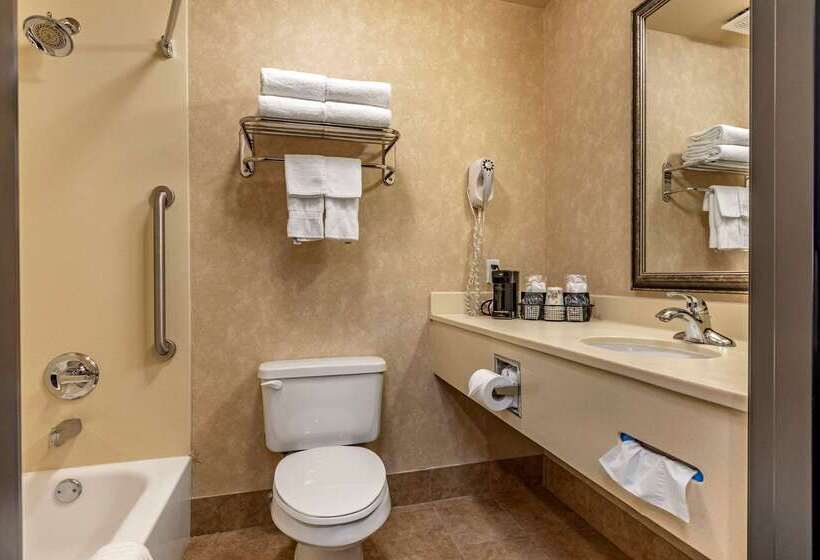 فندق Comfort Inn & Suites Russellville I40