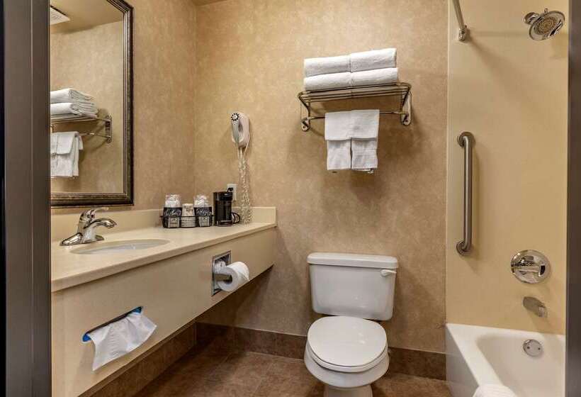 فندق Comfort Inn & Suites Russellville I40