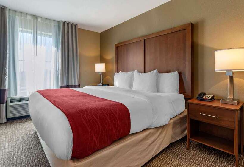 فندق Comfort Inn & Suites Russellville I40