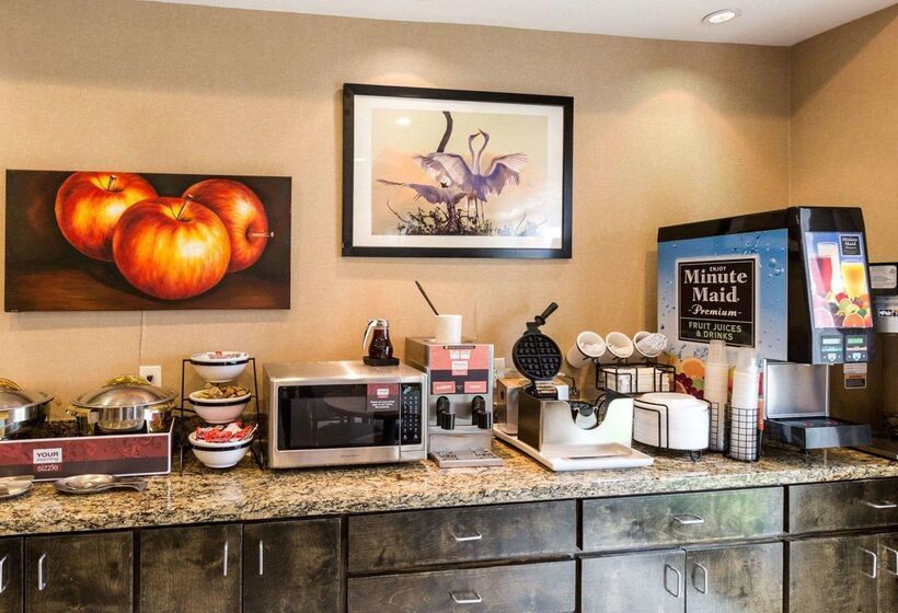 호텔 Comfort Inn And Suites Winnie