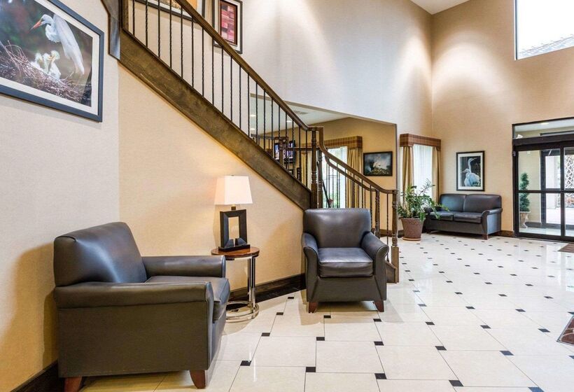 호텔 Comfort Inn And Suites Winnie