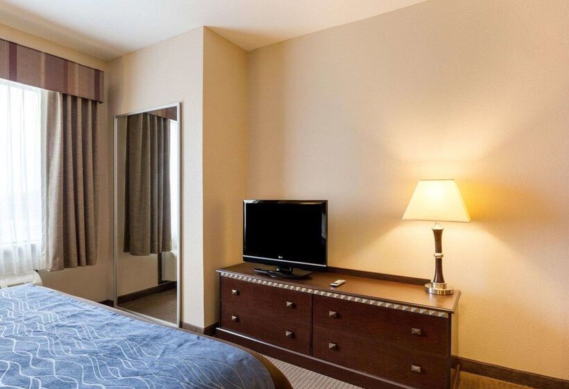 호텔 Comfort Inn And Suites Winnie