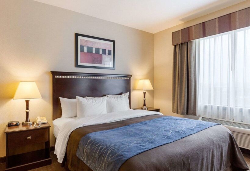 호텔 Comfort Inn And Suites Winnie