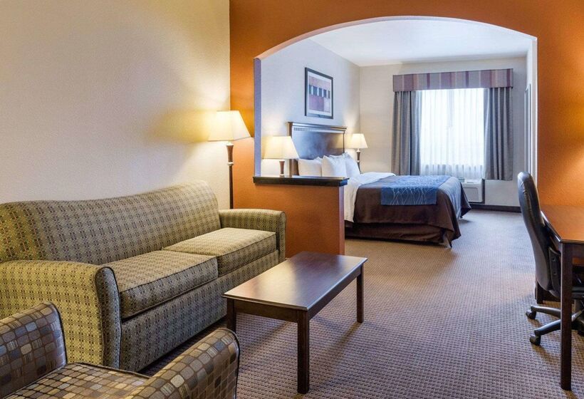 호텔 Comfort Inn And Suites Winnie