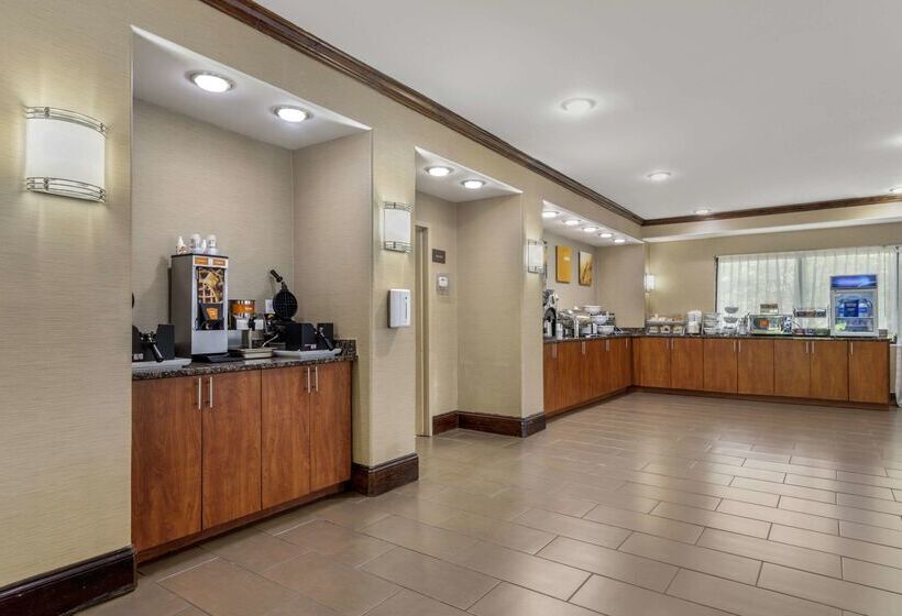 בית מלון כפרי Comfort Suites At Kennesaw State University