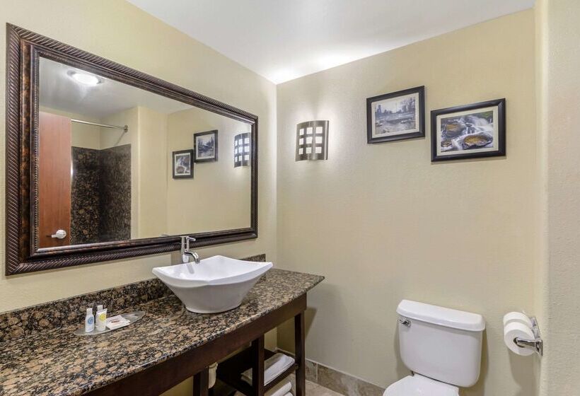 בית מלון כפרי Comfort Suites At Kennesaw State University