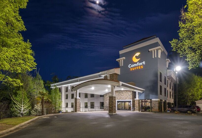 בית מלון כפרי Comfort Suites At Kennesaw State University
