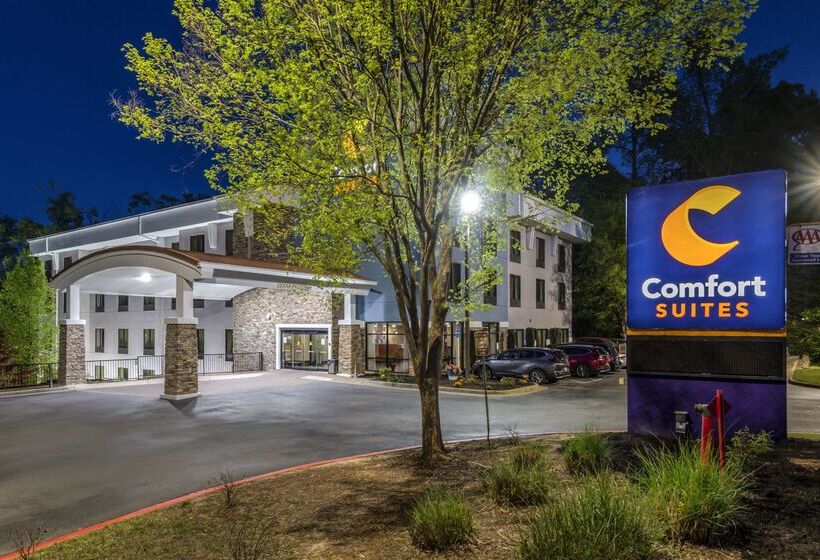 בית מלון כפרי Comfort Suites At Kennesaw State University