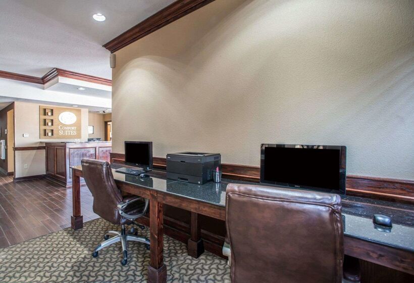 هتل Comfort Suites Columbia  University Area