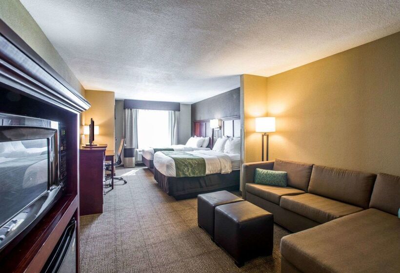 Отель Comfort Suites Columbia University Area