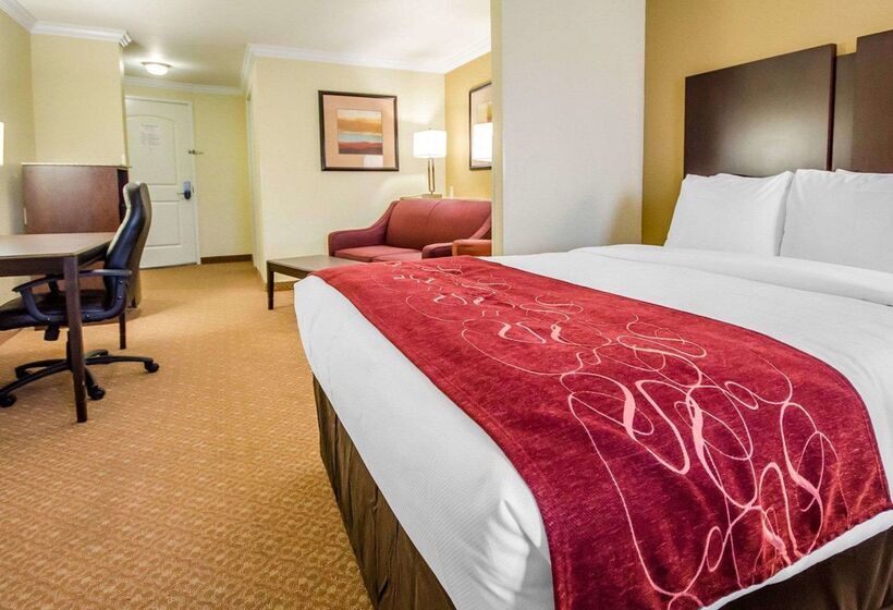 ホテル Comfort Suites