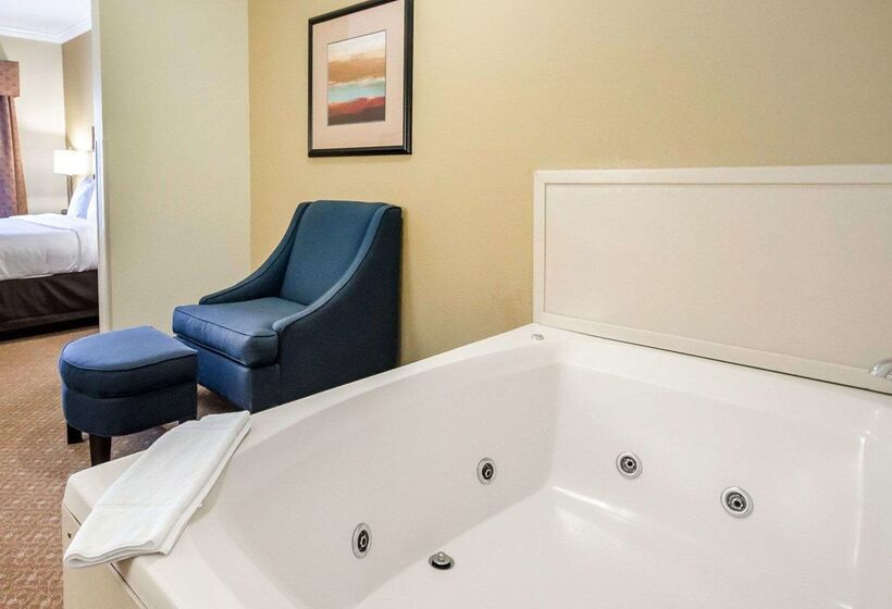 ホテル Comfort Suites