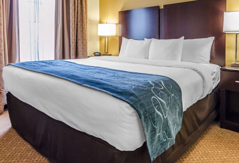 ホテル Comfort Suites