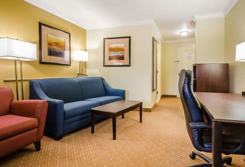 ホテル Comfort Suites