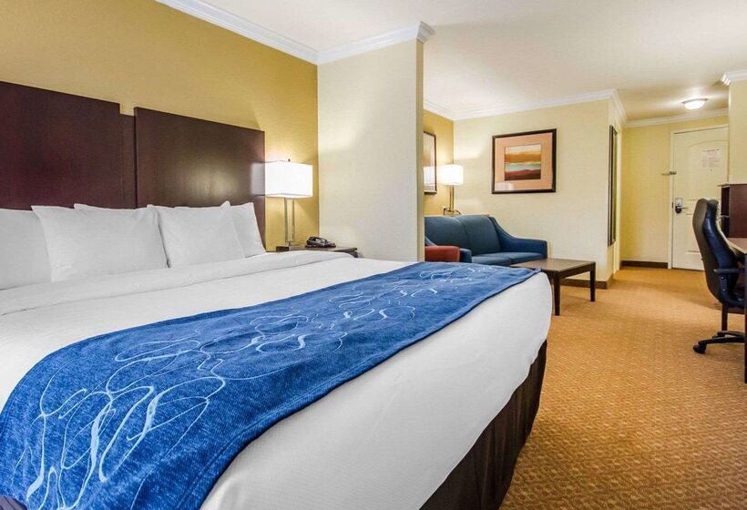 ホテル Comfort Suites