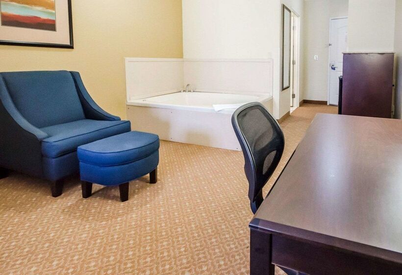 ホテル Comfort Suites