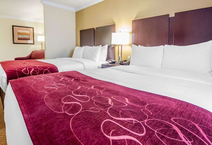 ホテル Comfort Suites