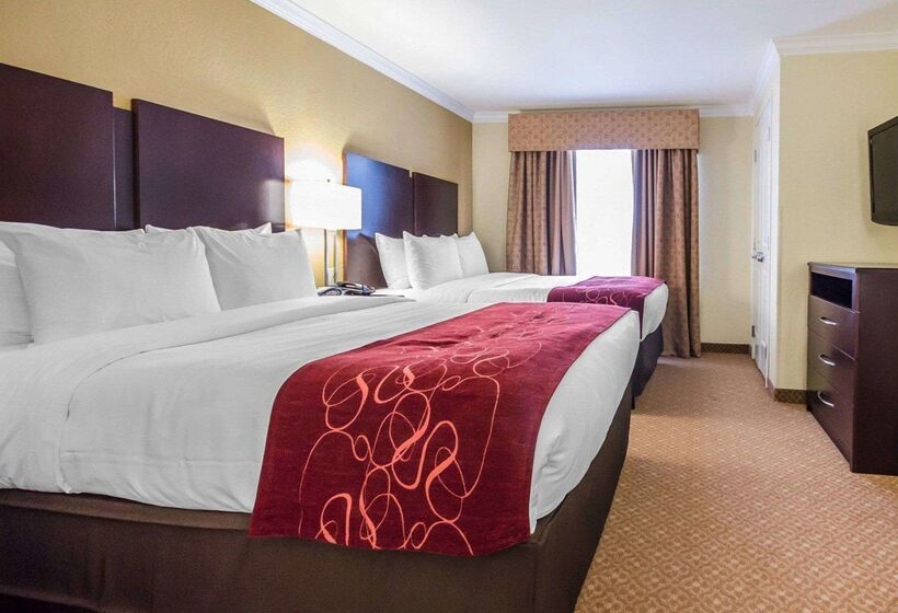 ホテル Comfort Suites