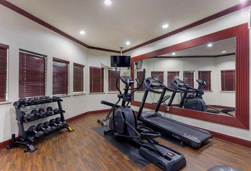 ホテル Comfort Suites Gainesville